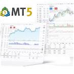 www.meta5.bet